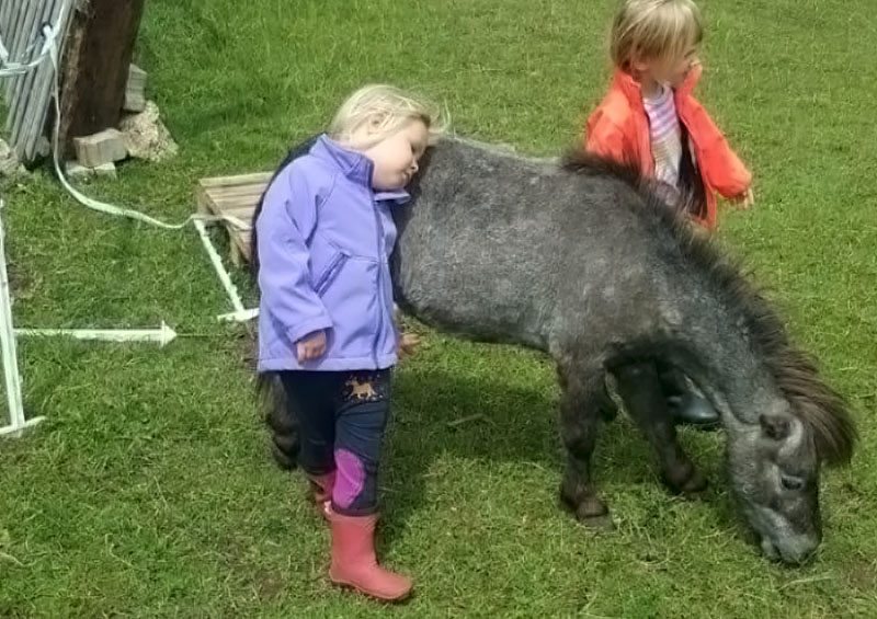 Kind kuschelt mit Pony bei Anja Starke Reitpädagogik